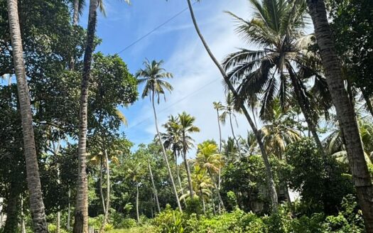 143 Perch Land – Main Road Facing Moratuwa