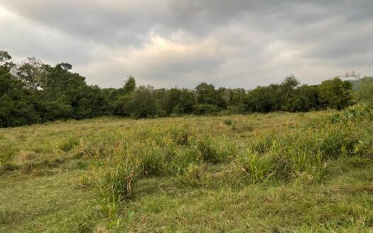 5 Acres – Bandaragama Land